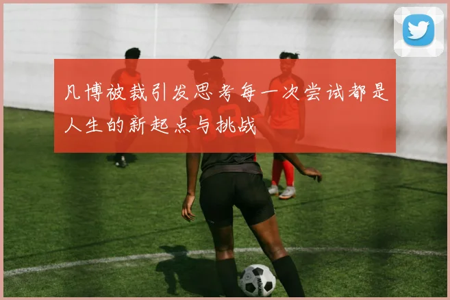 凡博被裁引发思考每一次尝试都是人生的新起点与挑战