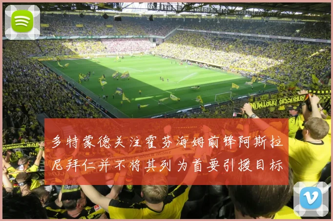 多特蒙德关注霍芬海姆前锋阿斯拉尼拜仁并不将其列为首要引援目标