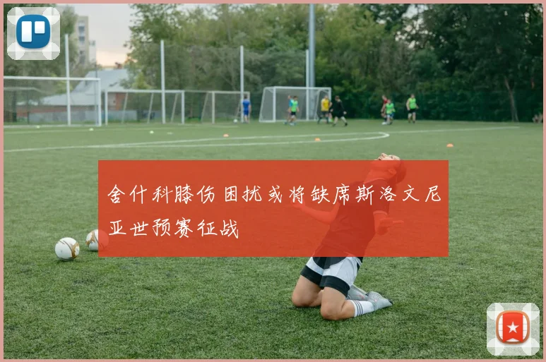 舍什科膝伤困扰或将缺席斯洛文尼亚世预赛征战